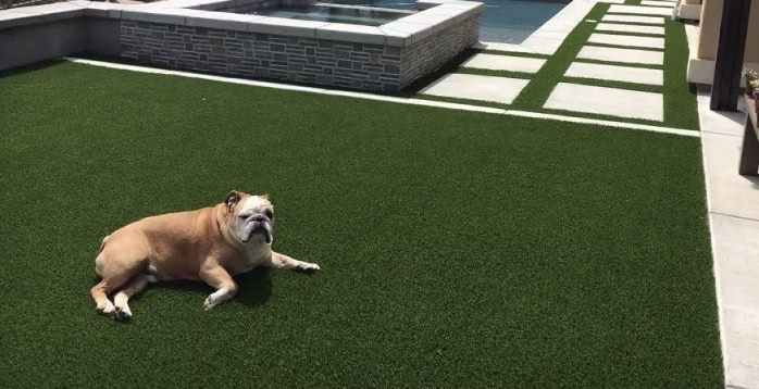 Artificial Grass For Dogs